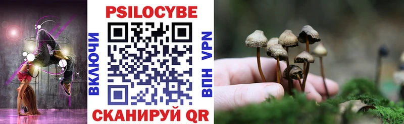 ОМГ ОМГ ONION цены наркотик Екатеринбург Псилоцибиновые грибы Psilocybine cubensis